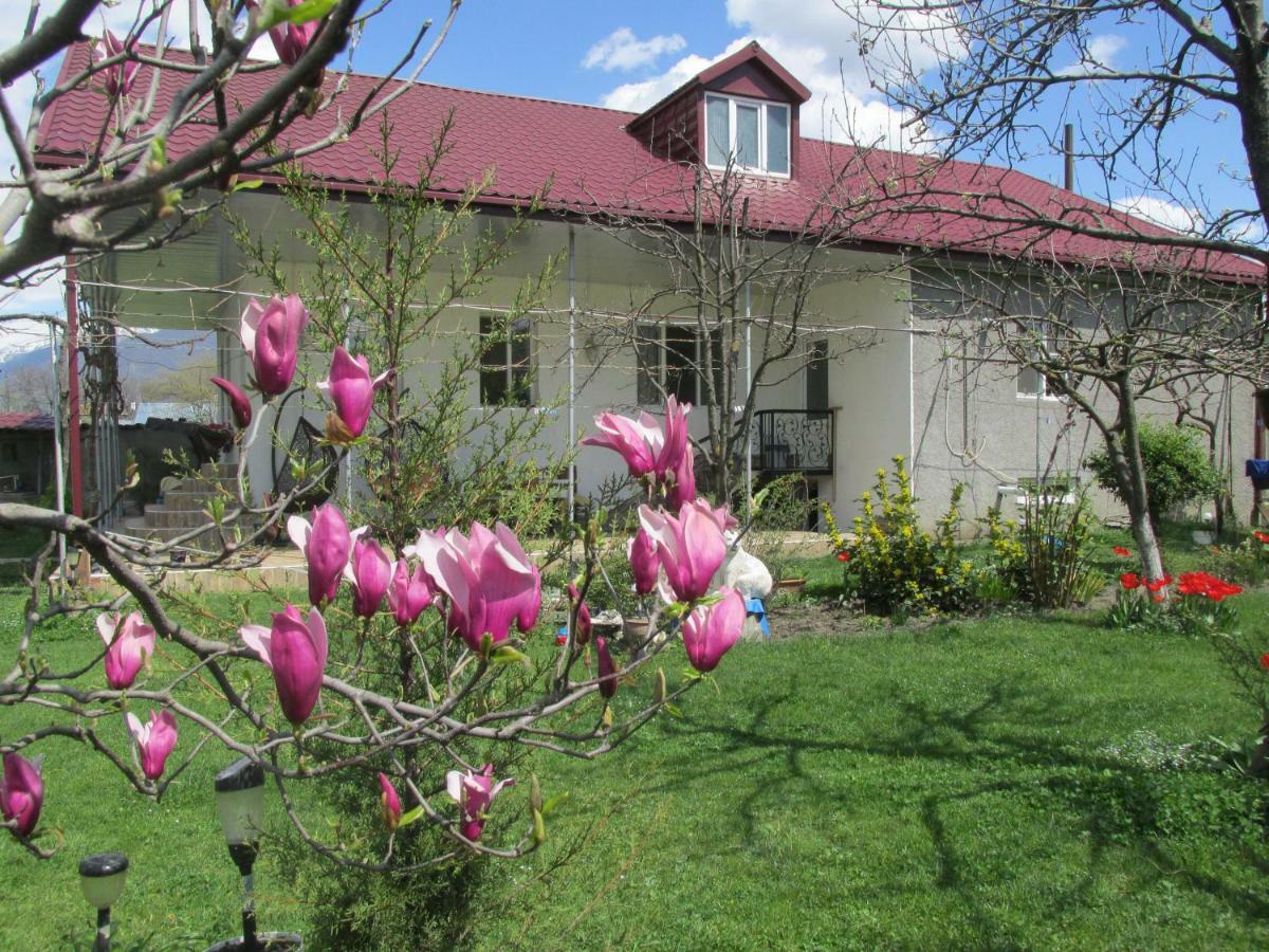 Guest House Melissa Duisi Ngoại thất bức ảnh